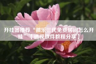 开挂器推荐“微乐三代免费房间怎么开挂	”【透视软件教程分享】