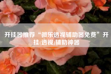 开挂器推荐“微乐透视辅助器免费	”开挂(透视)辅助神器