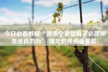 今日必看教程“微乐宁夏捉麻子必赢神器是真的吗”(曝光透视必备猫腻)