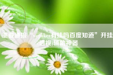 重要通报“wepoker有挂吗百度知道”开挂(透视)辅助神器