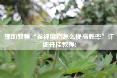 辅助教程“雀神麻将怎么提高胜率	”详细开挂教程!