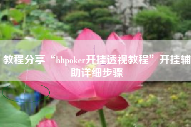 教程分享“hhpoker开挂透视教程	”开挂辅助详细步骤