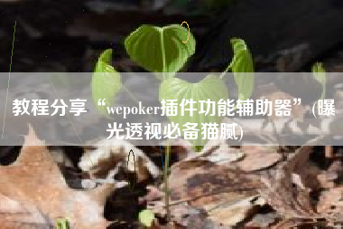 教程分享“wepoker插件功能辅助器”(曝光透视必备猫腻)