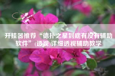 开挂器推荐“德扑之星到底有没有辅助软件”(透视)详细透视辅助教学