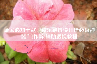 玩家必知十款“微乐跑得快开挂必赢神器”(作弊)辅助透视教程