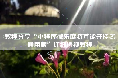 教程分享“小程序微乐麻将万能开挂器通用版”详细透视教程