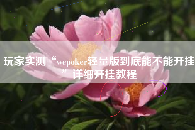 玩家实测“wepoker轻量版到底能不能开挂	”详细开挂教程