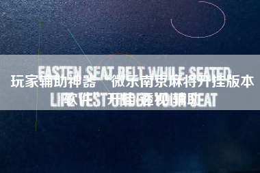 玩家辅助神器“微乐南京麻将开挂版本软件	”开挂(透视)辅助