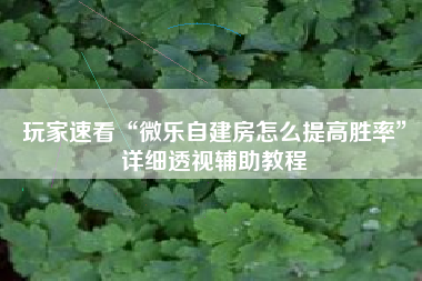 玩家速看“微乐自建房怎么提高胜率”详细透视辅助教程