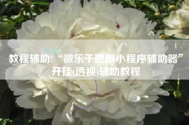 教程辅助!“微乐干瞪眼小程序辅助器	”开挂(透视)辅助教程