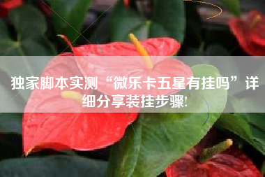 独家脚本实测“微乐卡五星有挂吗	”详细分享装挂步骤!