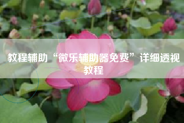 教程辅助“微乐辅助器免费”详细透视教程