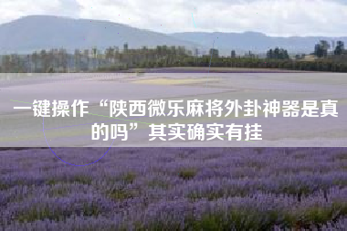 一键操作“陕西微乐麻将外卦神器是真的吗	”其实确实有挂