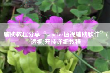 辅助教程分享“wepoker透视辅助软件”(透视)开挂详细教程