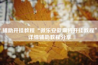 辅助开挂教程“微乐安徽麻将开挂教程	”详细辅助教程分享