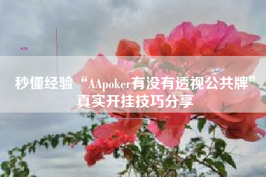 秒懂经验“AApoker有没有透视公共牌	”真实开挂技巧分享