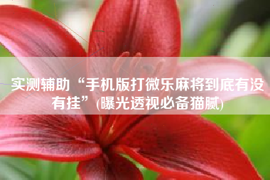 实测辅助“手机版打微乐麻将到底有没有挂”(曝光透视必备猫腻)