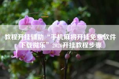 教程开挂辅助“手机麻将开挂免费软件下载微乐”2026开挂教程步骤