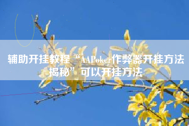 辅助开挂教程“AAPoker作弊器开挂方法揭秘”可以开挂方法