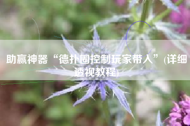 助赢神器“德扑圈控制玩家带入	”(详细透视教程)