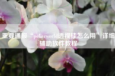 重要通报“pokerworld透视挂怎么用	”详细辅助软件教程