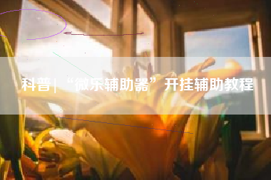 科普|“微乐辅助器	”开挂辅助教程