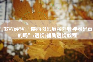 [教程经验]“陕西微乐麻将外卦神器是真的吗”(透视)辅助透视教程