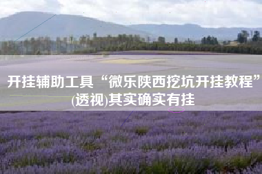 开挂辅助工具“微乐陕西挖坑开挂教程”(透视)其实确实有挂