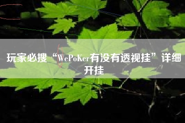 玩家必搜“WePoKer有没有透视挂”详细开挂