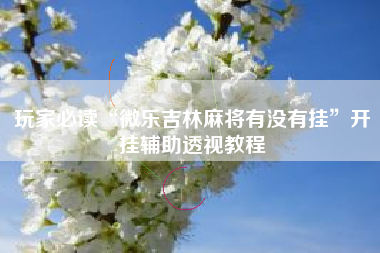 玩家必读“微乐吉林麻将有没有挂”开挂辅助透视教程