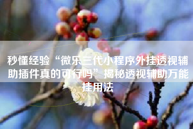 秒懂经验“微乐三代小程序外挂透视辅助插件真的可行吗	”揭秘透视辅助万能挂用法