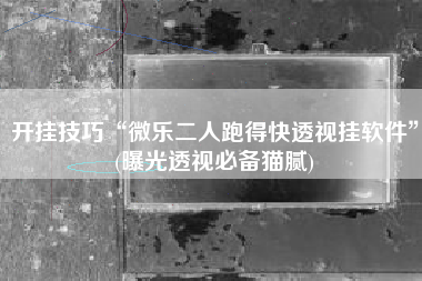 开挂技巧“微乐二人跑得快透视挂软件”(曝光透视必备猫腻)