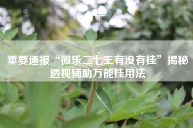 重要通报“微乐二七王有没有挂”揭秘透视辅助万能挂用法