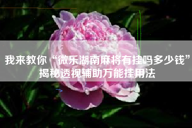 我来教你“微乐湖南麻将有挂吗多少钱	”揭秘透视辅助万能挂用法