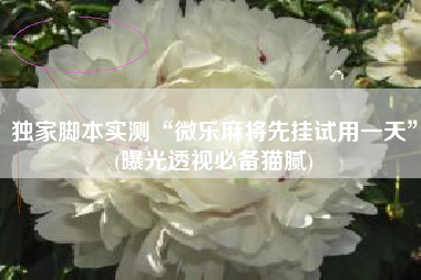 独家脚本实测“微乐麻将先挂试用一天”(曝光透视必备猫腻)