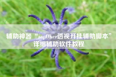 辅助神器“aapOKer透视开挂辅助脚本”详细辅助软件教程
