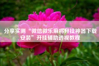 分享实测“微信微乐麻将开挂神器下载安装”开挂辅助透视教程