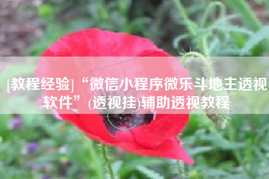 [教程经验]“微信小程序微乐斗地主透视软件”(透视挂)辅助透视教程