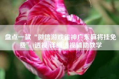 盘点一款“微信游戏雀神广东麻将挂免费”(透视)详细透视辅助教学