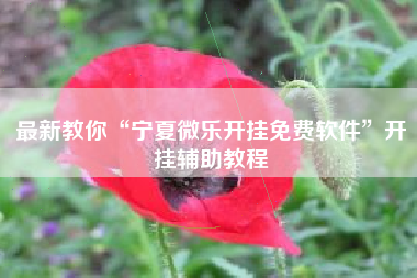 最新教你“宁夏微乐开挂免费软件”开挂辅助教程