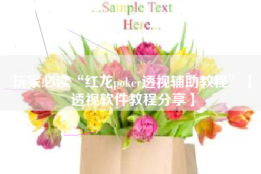 玩家必读“红龙poker透视辅助教程”【透视软件教程分享】