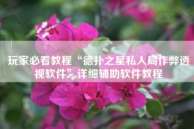 玩家必看教程“德扑之星私人局作弊透视软件”详细辅助软件教程