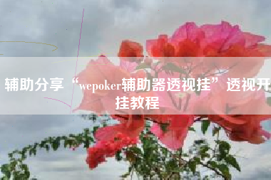 辅助分享“wepoker辅助器透视挂”透视开挂教程