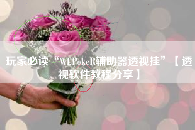玩家必读“WEPokeR辅助器透视挂	”【透视软件教程分享】