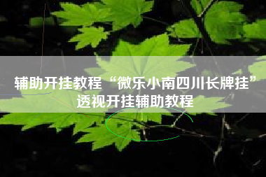 辅助开挂教程“微乐小南四川长牌挂”透视开挂辅助教程