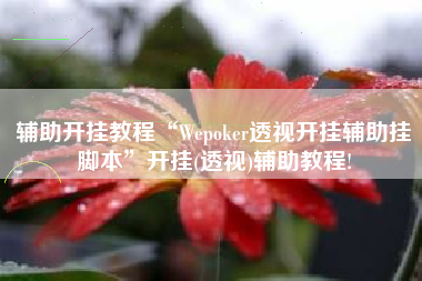辅助开挂教程“Wepoker透视开挂辅助挂脚本	”开挂(透视)辅助教程!