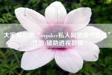 大家都在用“wepoker私人局透视作弊挂	”(作弊)辅助透视教程