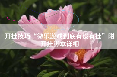 开挂技巧“微乐游戏到底有没有挂	”附开挂脚本详细