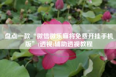 盘点一款“微信微乐麻将免费开挂手机版”(透视)辅助透视教程