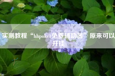 实测教程“hhpoker免费辅助器”原来可以开挂